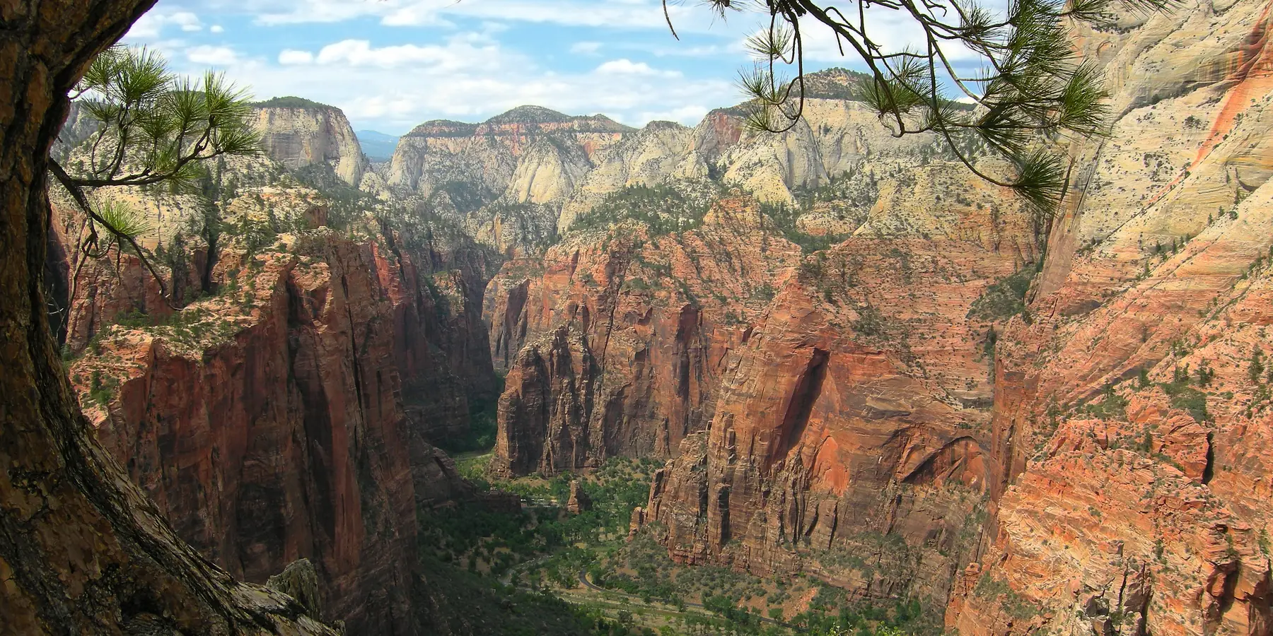 View from the Angels Landing trail across Zion Canyon.