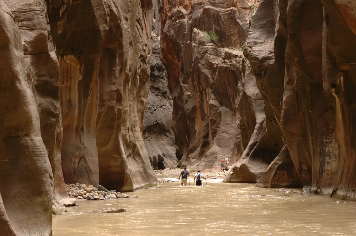 Wide view of The Narrows with the Virgin River between canyon walls.
